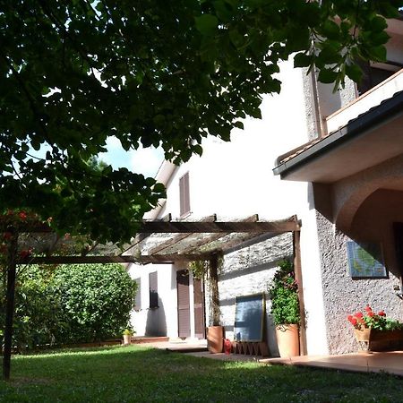 Agriturismo Piana Arborello Ξενοδοχείο Magliano in Toscana Εξωτερικό φωτογραφία