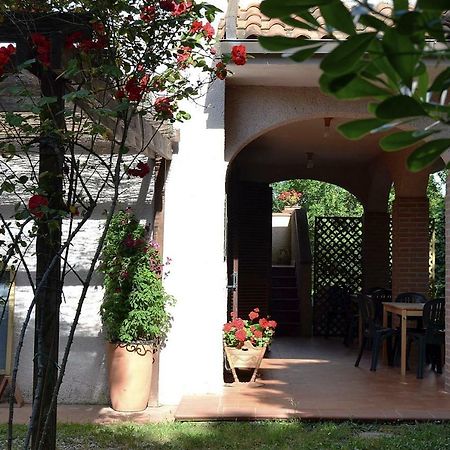 Agriturismo Piana Arborello Ξενοδοχείο Magliano in Toscana Εξωτερικό φωτογραφία