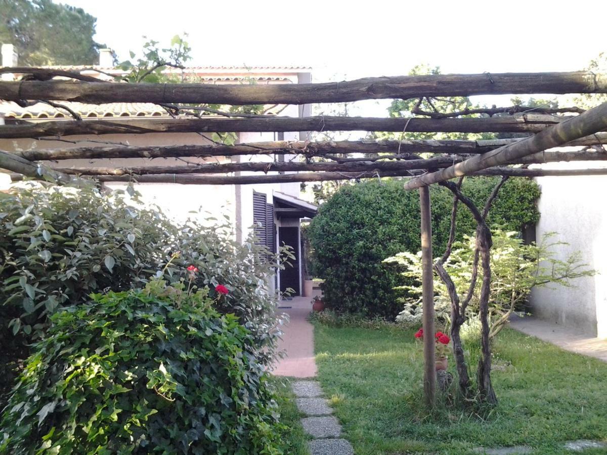 Agriturismo Piana Arborello Ξενοδοχείο Magliano in Toscana Εξωτερικό φωτογραφία