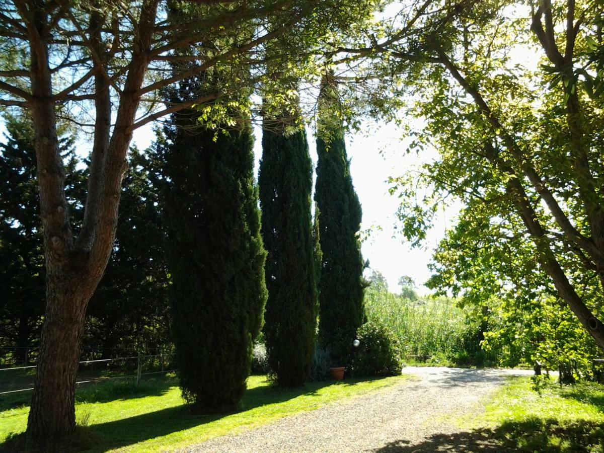 Agriturismo Piana Arborello Ξενοδοχείο Magliano in Toscana Εξωτερικό φωτογραφία