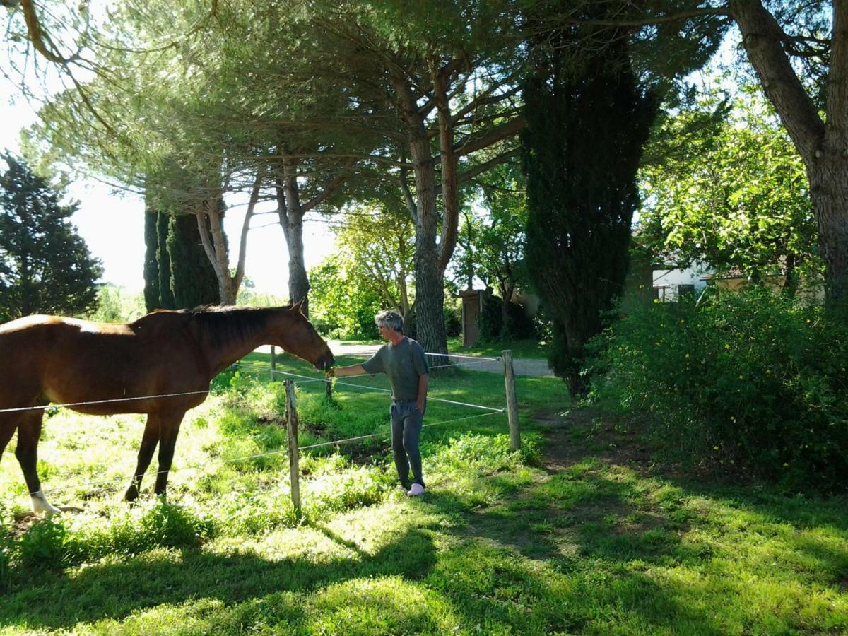Agriturismo Piana Arborello Ξενοδοχείο Magliano in Toscana Εξωτερικό φωτογραφία