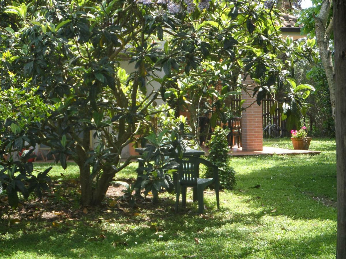 Agriturismo Piana Arborello Ξενοδοχείο Magliano in Toscana Εξωτερικό φωτογραφία