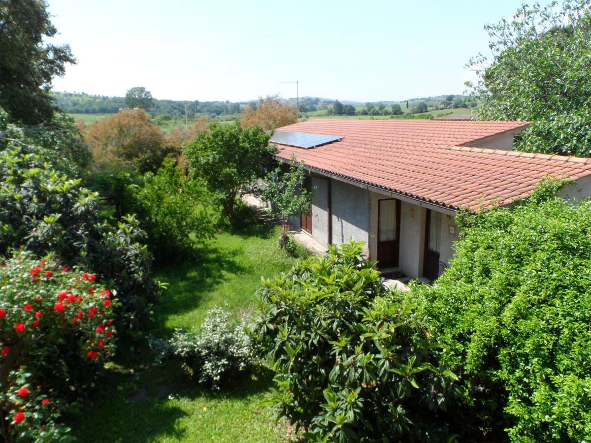 Agriturismo Piana Arborello Ξενοδοχείο Magliano in Toscana Εξωτερικό φωτογραφία