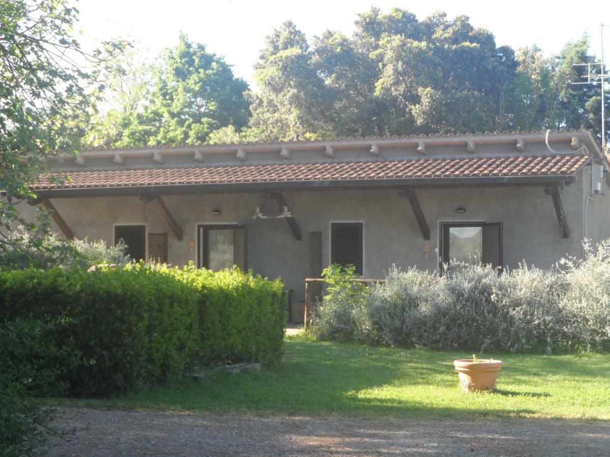Agriturismo Piana Arborello Ξενοδοχείο Magliano in Toscana Εξωτερικό φωτογραφία