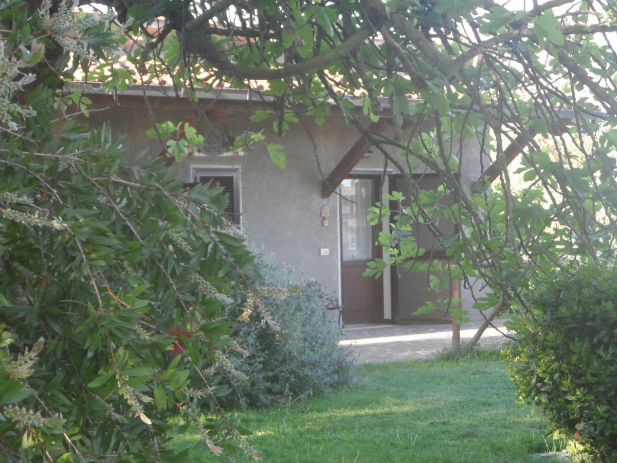Agriturismo Piana Arborello Ξενοδοχείο Magliano in Toscana Εξωτερικό φωτογραφία