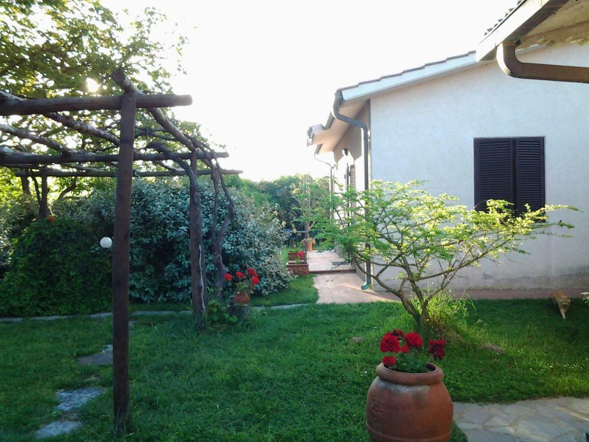 Agriturismo Piana Arborello Ξενοδοχείο Magliano in Toscana Εξωτερικό φωτογραφία