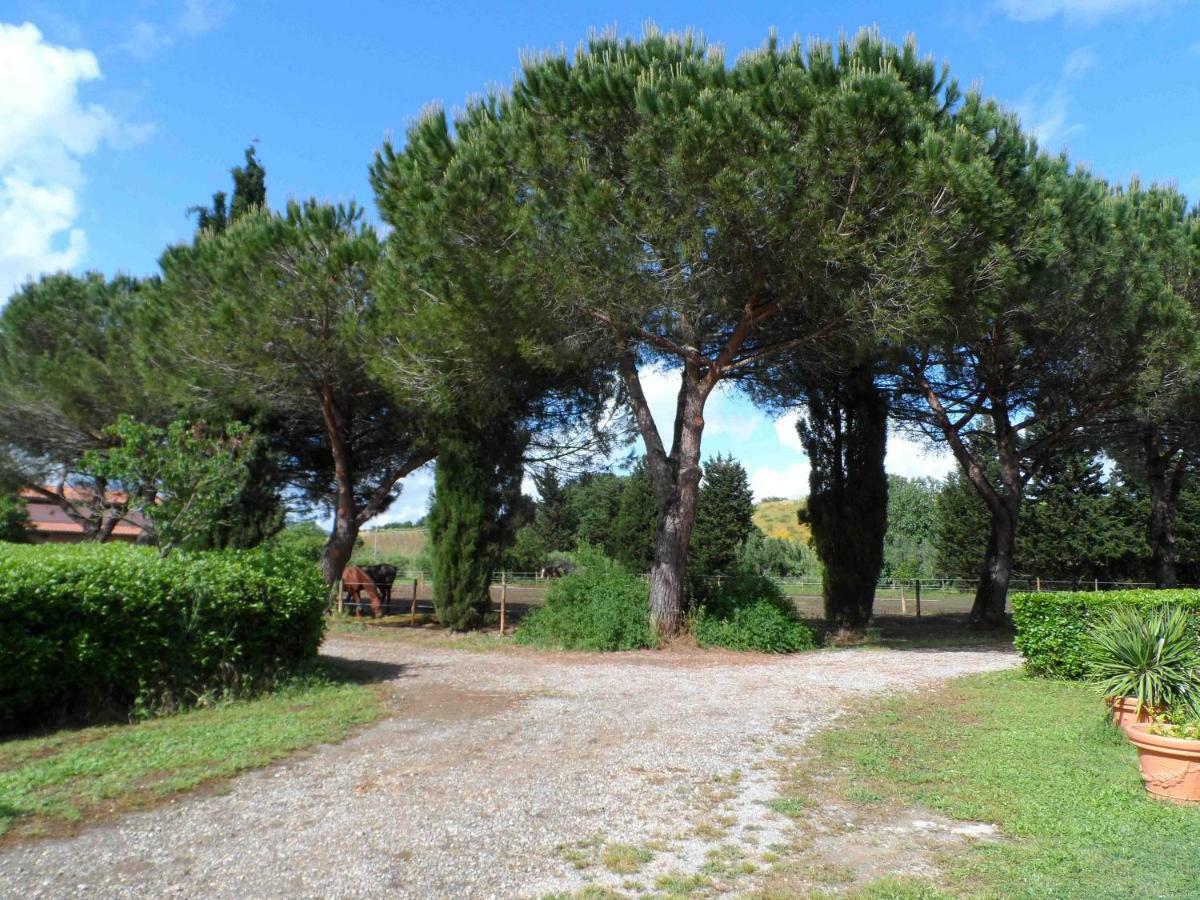 Agriturismo Piana Arborello Ξενοδοχείο Magliano in Toscana Εξωτερικό φωτογραφία