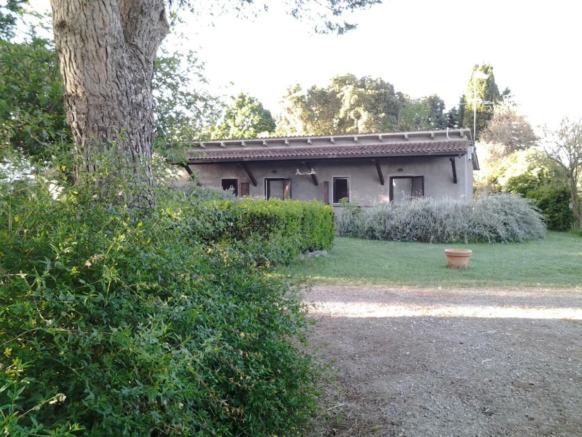 Agriturismo Piana Arborello Ξενοδοχείο Magliano in Toscana Εξωτερικό φωτογραφία