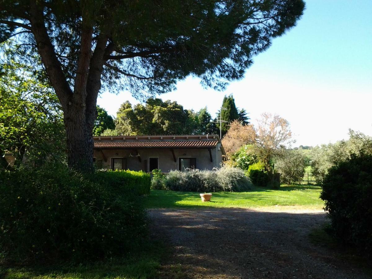 Agriturismo Piana Arborello Ξενοδοχείο Magliano in Toscana Εξωτερικό φωτογραφία