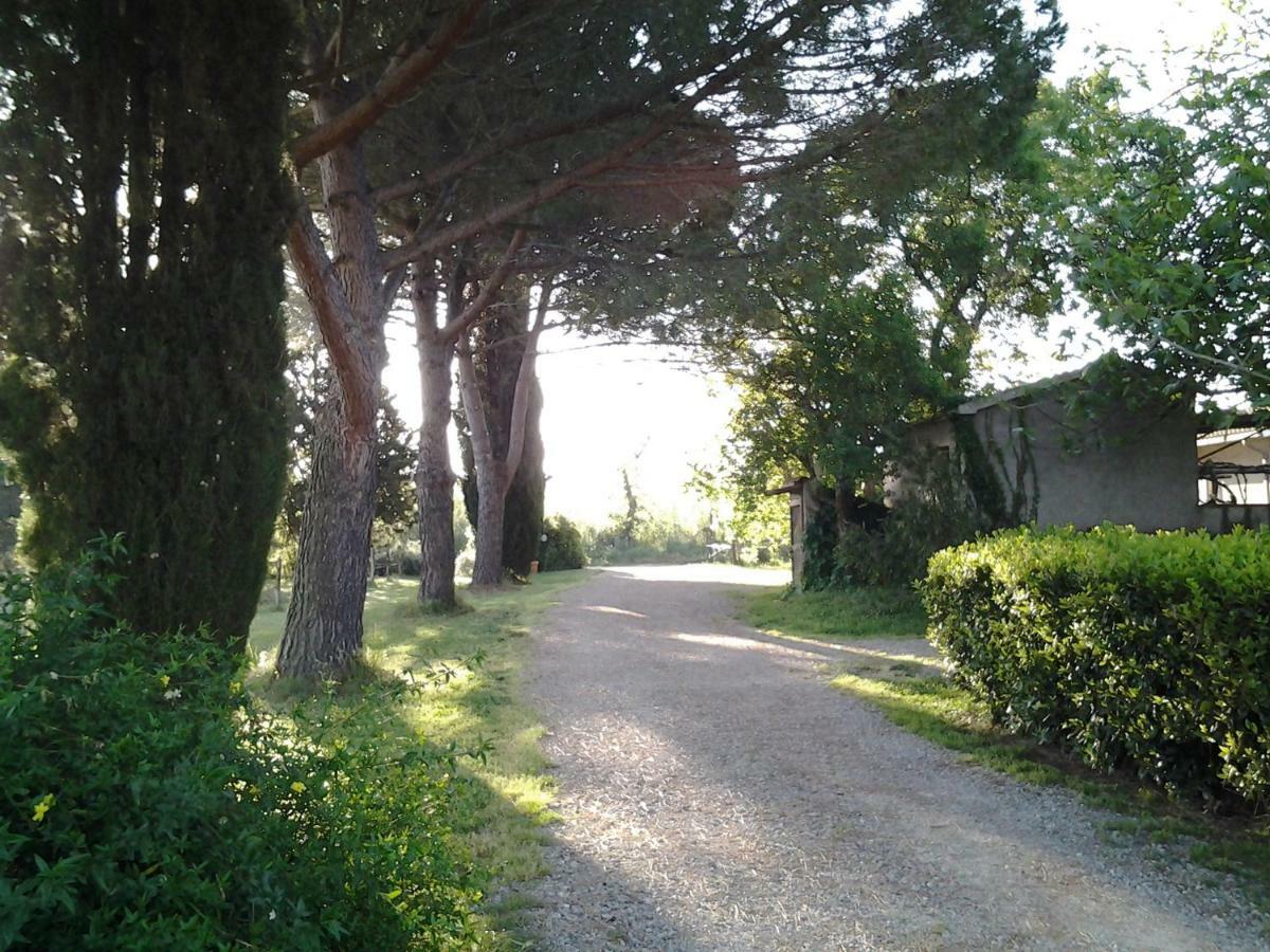 Agriturismo Piana Arborello Ξενοδοχείο Magliano in Toscana Εξωτερικό φωτογραφία