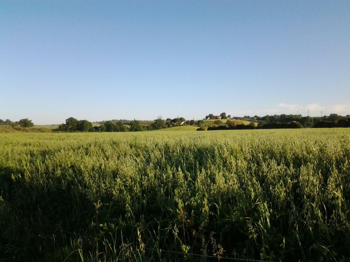 Agriturismo Piana Arborello Ξενοδοχείο Magliano in Toscana Εξωτερικό φωτογραφία