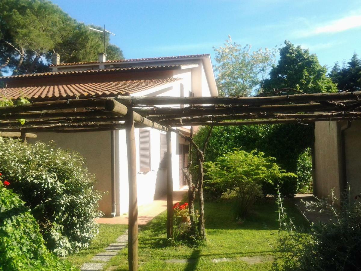 Agriturismo Piana Arborello Ξενοδοχείο Magliano in Toscana Εξωτερικό φωτογραφία