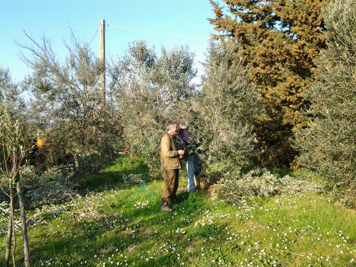 Agriturismo Piana Arborello Ξενοδοχείο Magliano in Toscana Εξωτερικό φωτογραφία